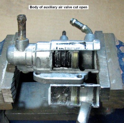 aav autopsy 4