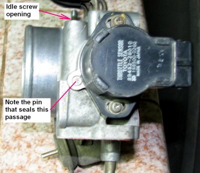 Throttle body