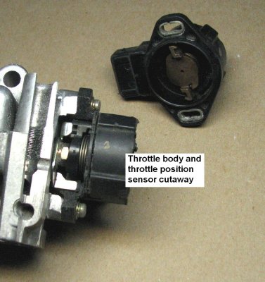 tps cutaway