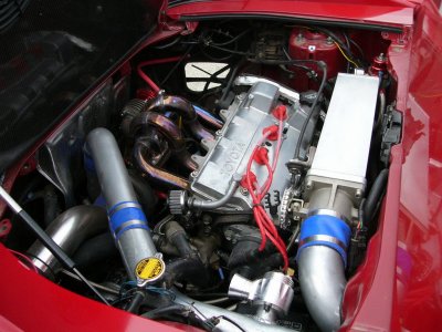 justin311-2.jpg