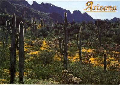 Postcard 1 - Entering Arizona