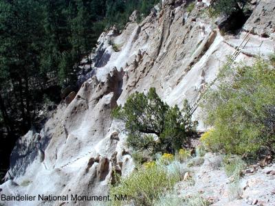 g3/01/187001/3/55283242.bandelier3.jpg