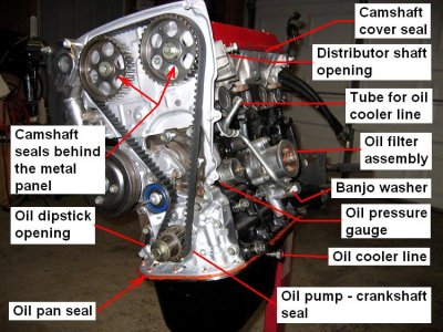 Sources of oil leaks