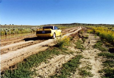 On the southern route to Chaco Culture National Historic Park, New Mexico