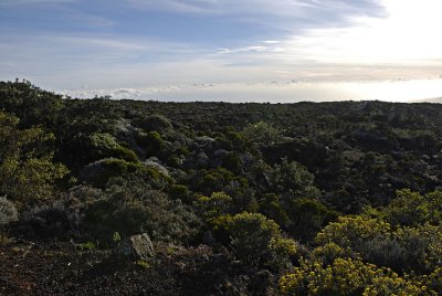 Piton de la Fournaise