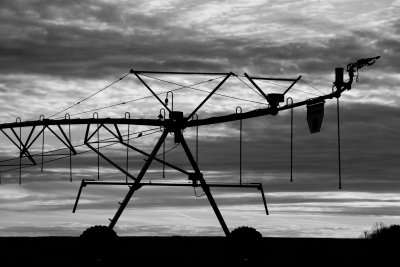 CRW_0646.jpg