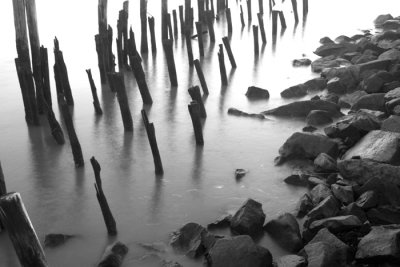 CRW_1780.jpg