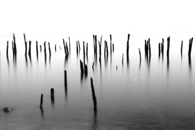 CRW_1842.jpg