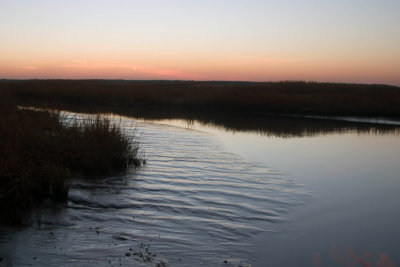CRW_1817.jpg