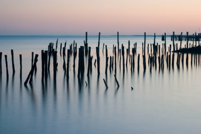 CRW_1838.jpg