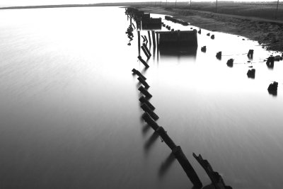 CRW_1849.jpg
