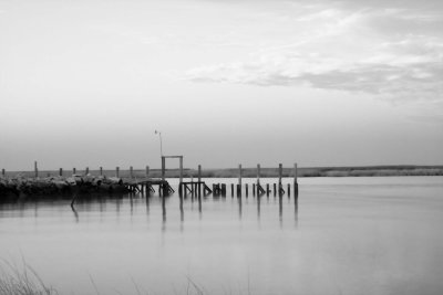 CRW_1801.jpg