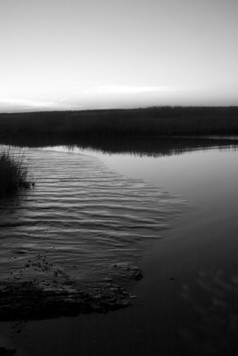 CRW_1820.jpg
