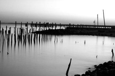 CRW_1841.jpg