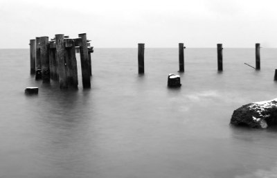 IMG_2509.jpg