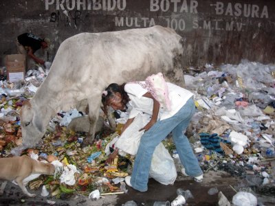 En Colombia muchos gracias a la basura sobreviven