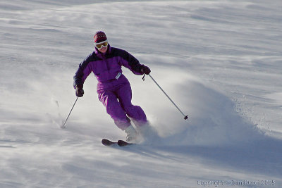 20766 - Skier