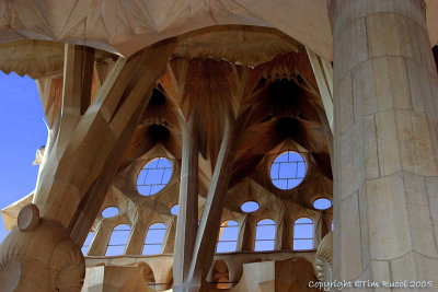 39509 - Inside La Sagrada Familia