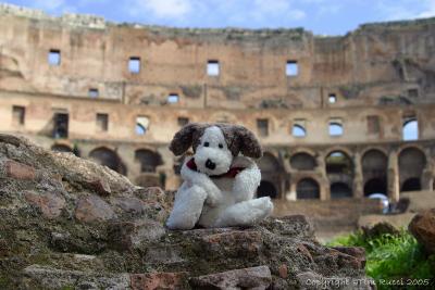 Inside the Colisseum