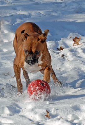 fun-today-028.jpg