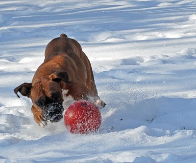 fun-today-047.jpg