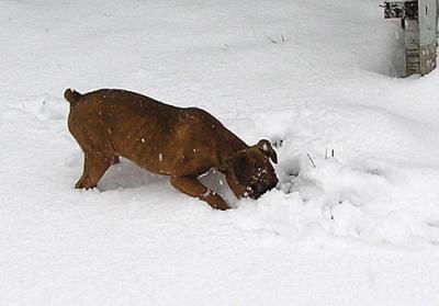 Sissy-snow-005-copy.jpg