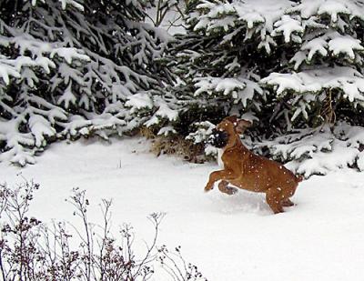 Sissy-snow-011-copy-0-copy.jpg