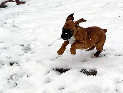 Sissy-snow-023-copy.jpg
