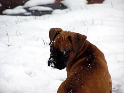 Sissy-snow-025-copy.jpg