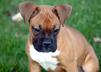 Sissy-3-months-old-076-copy.jpg