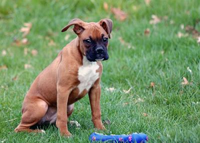 Sissy-3-months-old-096-copy.jpg