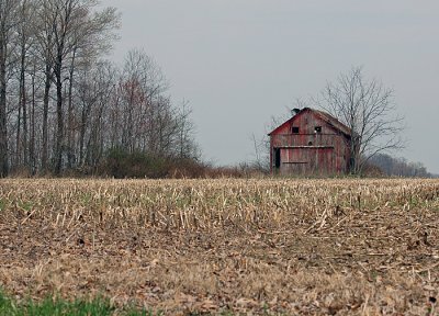 april 10 2008 010.jpg