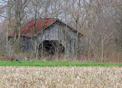 april 10 2008 013.jpg