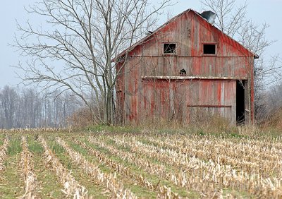 april 10 2008 014.jpg