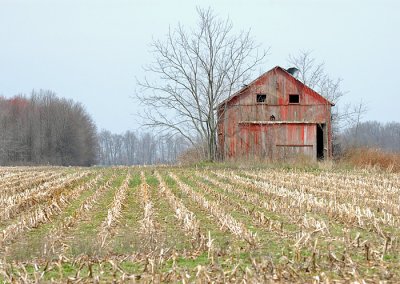 april 10 2008 015.jpg