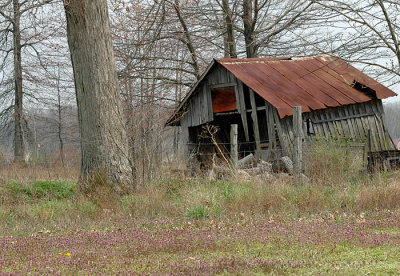 april 10 2008 021.jpg