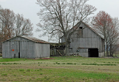 april 10 2008 025.jpg