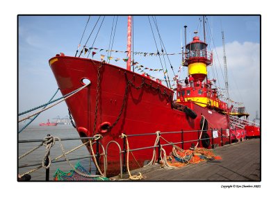 Pirate Raw_0062 XX.jpg