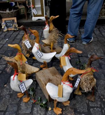 Ducks out of control