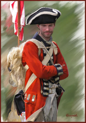 Colonial Soldier