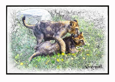 Playful Cubs Challenge.jpg