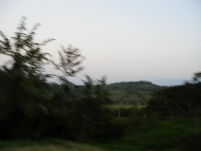 Out the Window