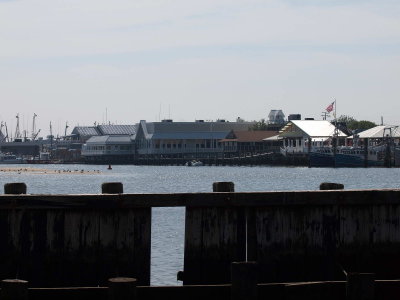 P6066690a.jpg