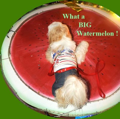 Maxi-watermelon1.jpg