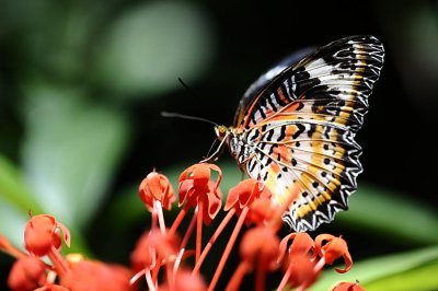 _DSC8889.jpg