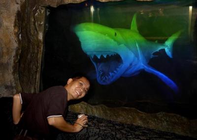Heynshark.jpg