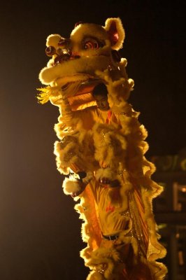 DSC_9931.jpg