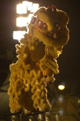 DSC_9955.jpg