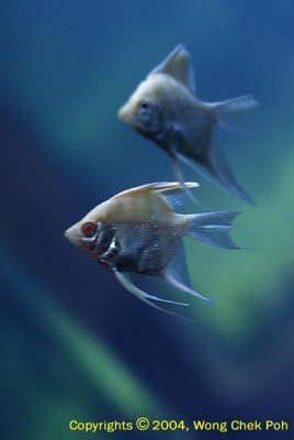 DSC_5720.jpg