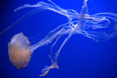 DSC_7905.jpg